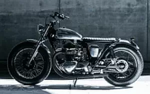 Wallpapers custom motorcycle Deus Ex Machina Raposa Prata 2016