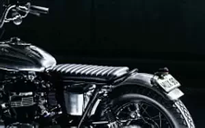 Wallpapers custom motorcycle Deus Ex Machina Raposa Prata 2016