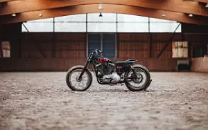 2015 Hookie Co Tasmanian Devil 2017 Harley-Davidson Sportster XLH 883 1991 custom motorcycle desktop wallpaper