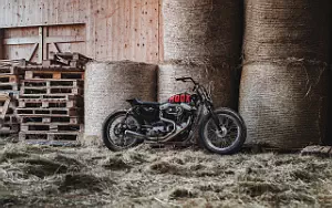 2015 Hookie Co Tasmanian Devil 2017 Harley-Davidson Sportster XLH 883 1991 custom motorcycle desktop wallpaper