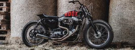 Hookie Co Tasmanian Devil 2017 Harley-Davidson Sportster XLH 883 1991