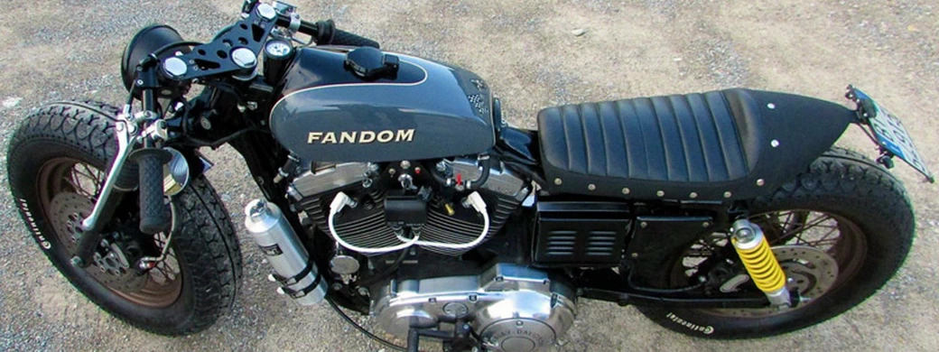 Motorcycles wallpapers Iron Pirate Garage Fandom Harley Davidson Sportster 2015 - Desktop wallpapers motorcycles
