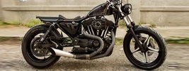 Iron Pirate Garage Black Pearl Harley Davidson Sportster 1200 2016