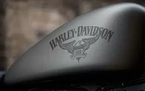 Desktop wallpapers motorcycle Harley-Davidson Sportster Iron 883 - 2018