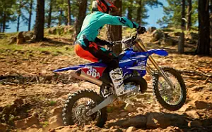 Desktop wallpapers motorcycle Yamaha YZ250X - 2017